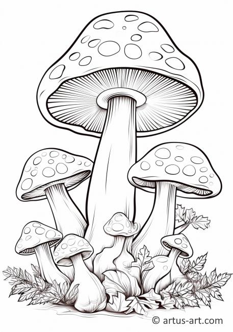 Раскраска семьи грибов